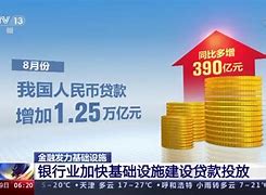 白名单项目审批与资金投放的现实困境超亿元背后的堵点分析