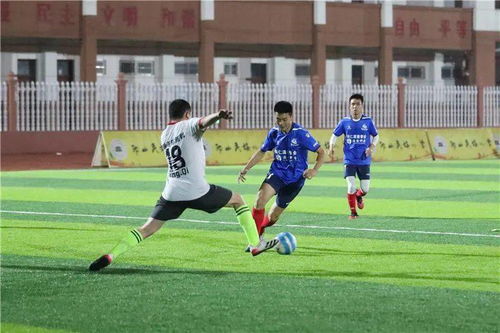 阿拉伯建筑足球融合传统与现代的球场设计