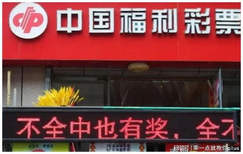 福利彩票创建于哪年