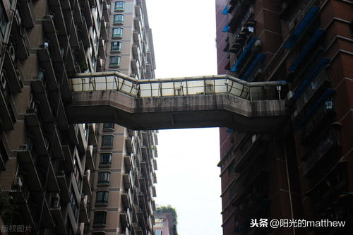 重庆做外架的建筑公司