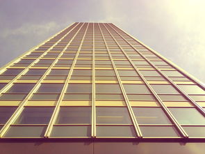 引领未来，钢结构施工方案范例精选——构建现代建筑的智慧选择