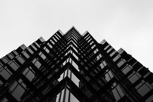 建构未来城市，现代建筑大师的视角与实践