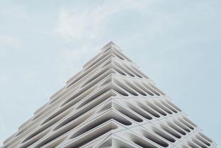 建筑设计大师的视角，探索鼠类在现代城市中的隐喻与艺术表现
