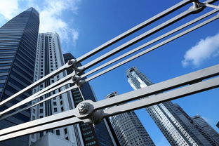 引领现代建筑潮流，探讨与创新——以一位当代建筑大师的视角
