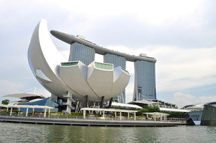 深圳家装节2024，建筑艺术与生活梦想的交融