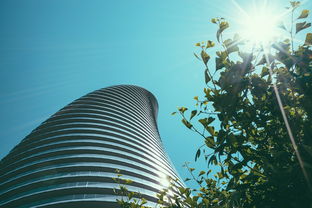 探索建筑与工程的交汇，石油工程考研，建筑大师的视角