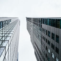 引领未来，掌握现代建筑预算的艺术与策略