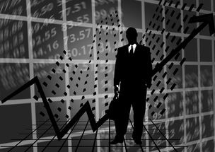 揭秘收入千万报税不足五千背后的真相