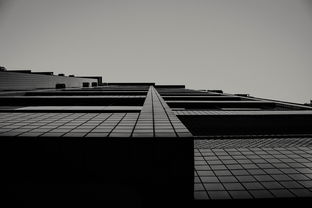 诗韵建筑，解读现代都市中的艺术与生活交融