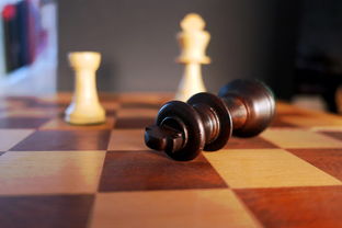 棋子的拼音，探秘象形文字背后的智慧与韵律