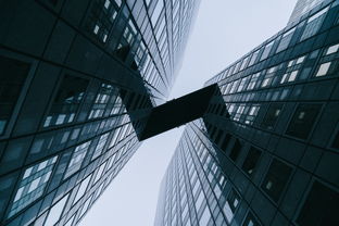 探索建筑世界的阶梯，揭秘建筑职称的等级与晋升路径