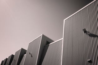 重塑繁华，上海城市职称体系中的建筑大师之路
