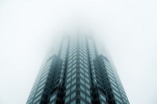 探索上层建筑的反义词，底层建筑的力量与意义