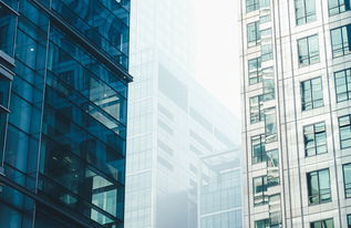 揭秘建筑工程师的薪酬世界，从砖瓦堆里的高薪智者到城市塑造者的收入探索