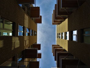 建筑设计大师的视角，探索建筑与生活中的饲养拼音艺术