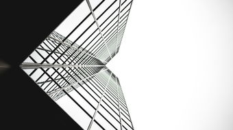 建筑设计大师的视角，探索建筑与生活中的饲养拼音艺术