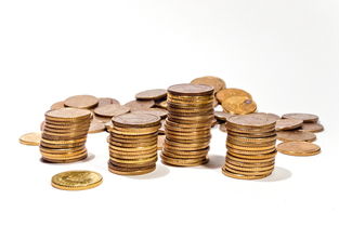 足金价格涨破900，市场走势下的黄金投资新动向
