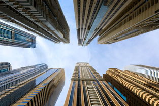 政策与法律法规，建筑工程师的视角