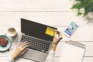 发烧友音乐app，音乐爱好者的终极伴侣