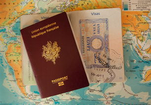 庆祝成功！我们的公司资质申请之旅